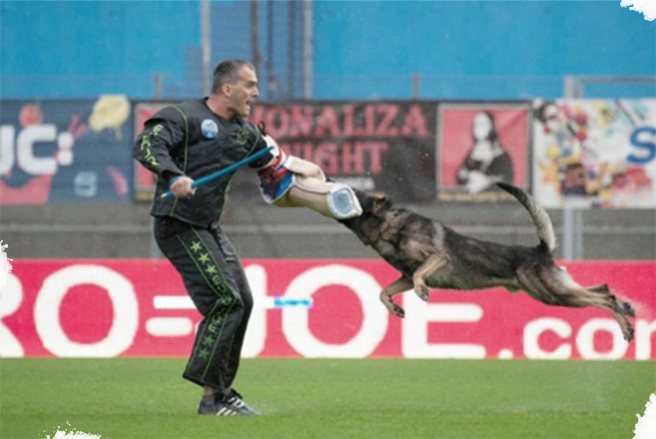 training